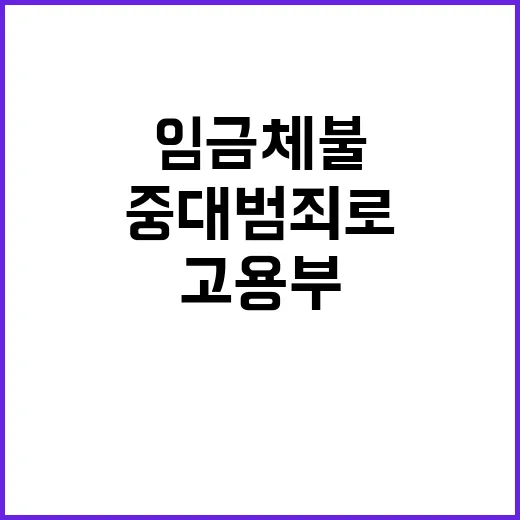 임금체불 중대범죄로…