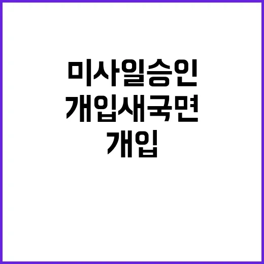 미사일 승인 미국 …