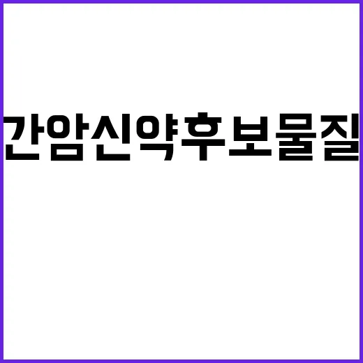 간암 신약 후보물질…