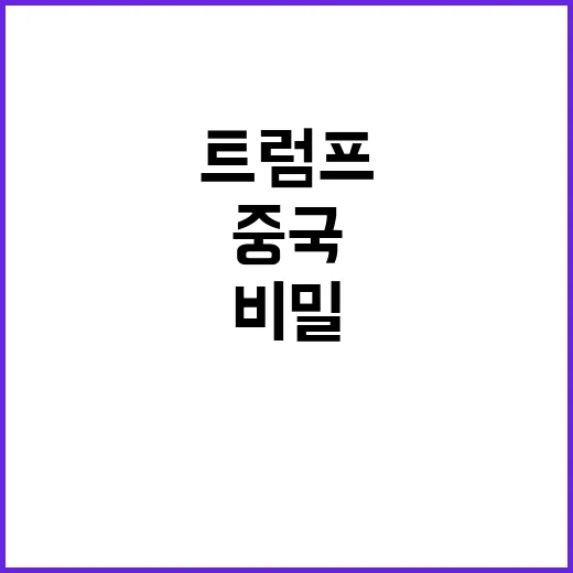 중국브라질의 경제 …