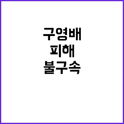 불구속 기회 선 구…