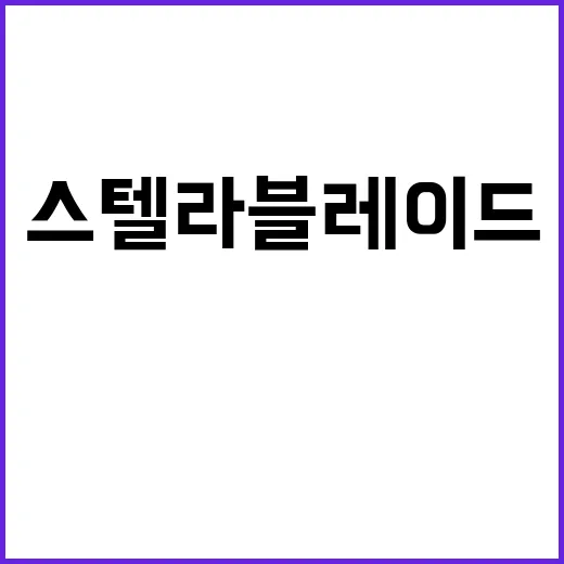 스텔라 블레이드 T…