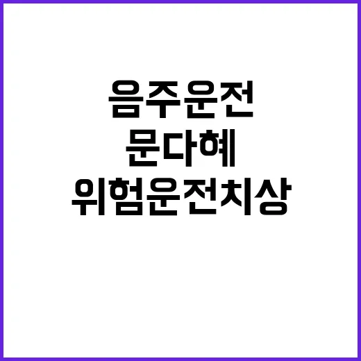 음주운전 송치…문다…