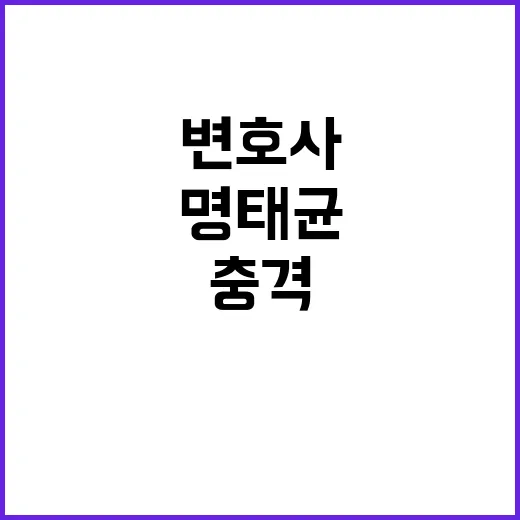 변호사 사임 명태균…