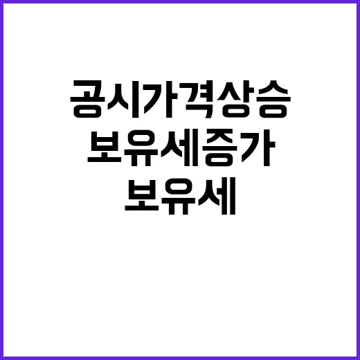 공시가격 상승 보유…