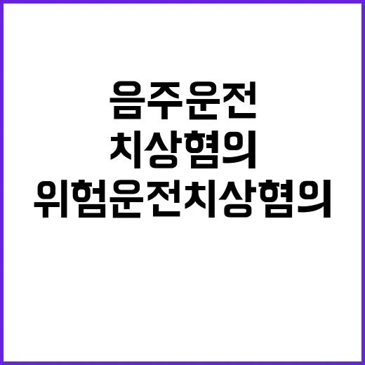 음주운전 송치…위험…