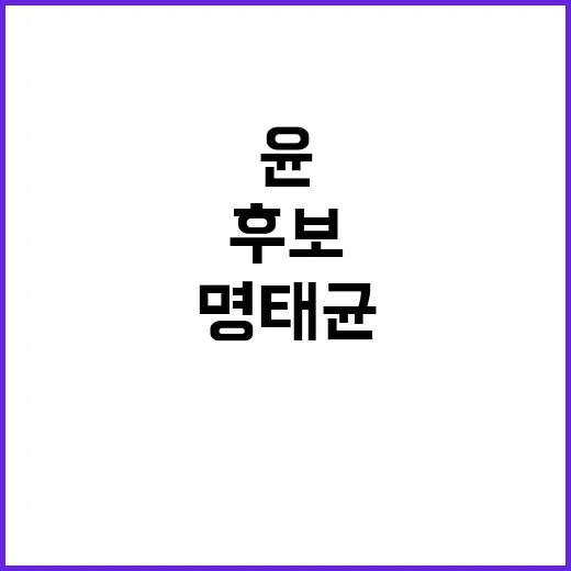 명태균 여론조사 조…