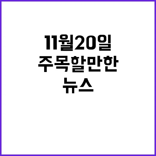 11월 20일 뉴스…