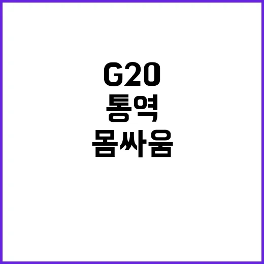 G20 통역요원 브…