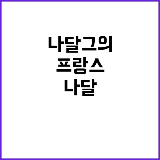 프랑스 나달 그의 …