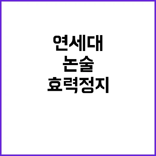 연세대 법원 기각… 논술 효력정지 계속 유지!