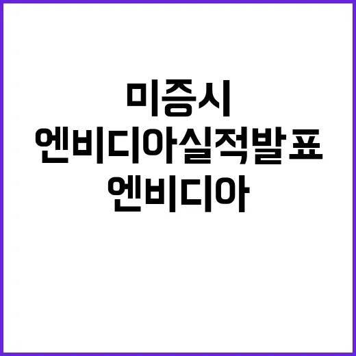 엔비디아 실적 발표 미증시 운명 가르는 순간!