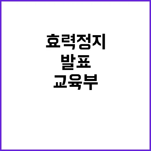 효력정지 대안 발표…