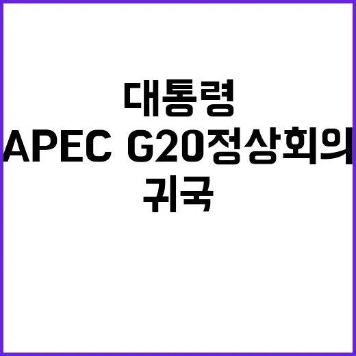 APEC·G20 정…