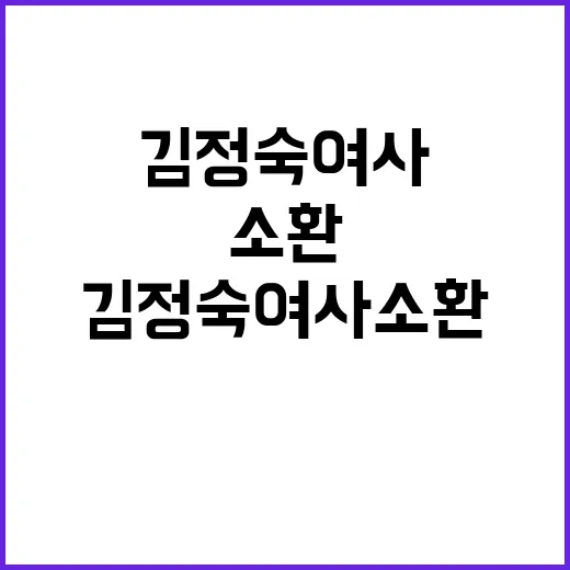 “김정숙 여사 소환…