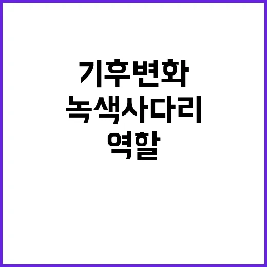 기후변화 대응 녹색…