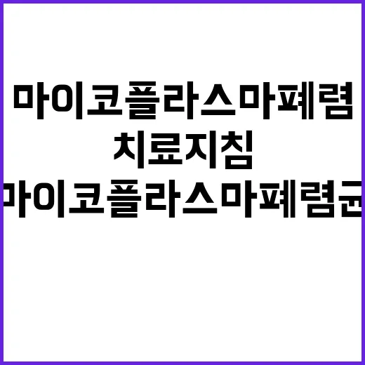 “마이코플라스마 폐…