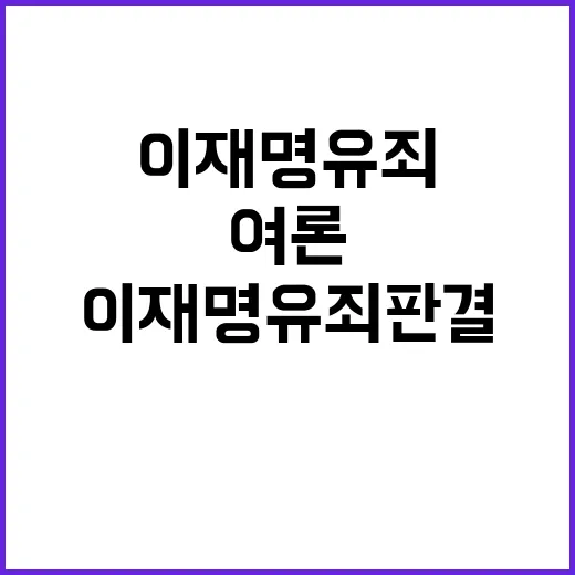 이재명 유죄판결 여론의 갈림길에서 무엇이 진실인가?