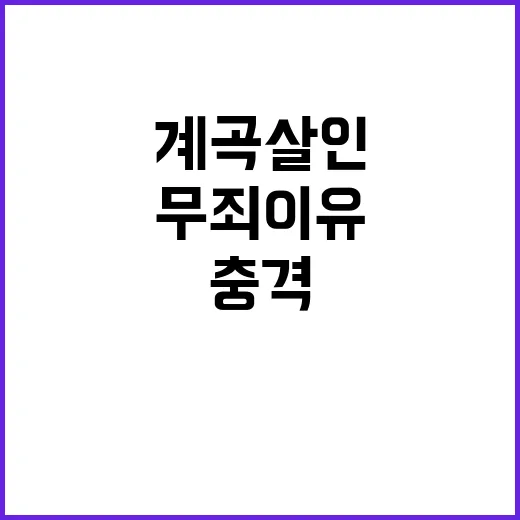 계곡 살인 무죄 이유는? 충격 사실 공개!