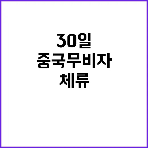 중국 무비자 30일 체류로 미국 관세 충격 완화!