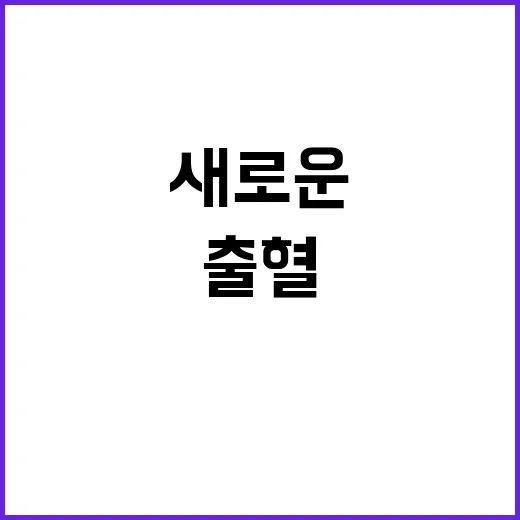 출혈경쟁 보험사들 새로운 오아시스 발견!