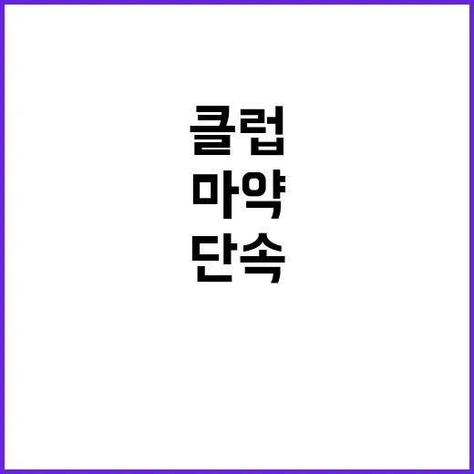 은닉 마약 클럽 단…