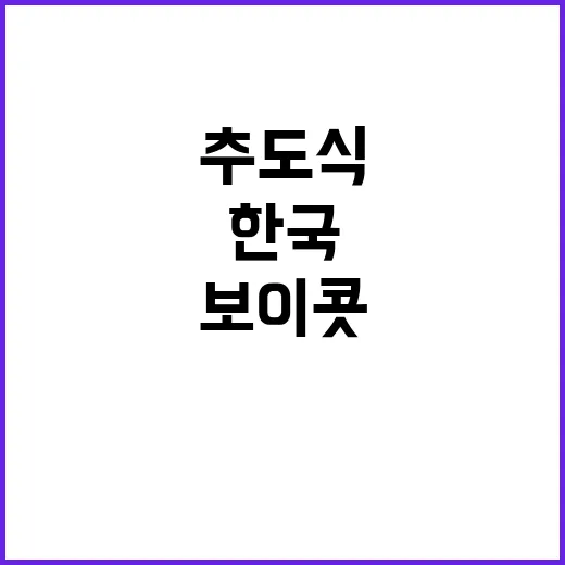 반쪽 추도식 한국 …