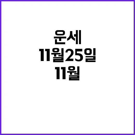 운세 11월 25일…