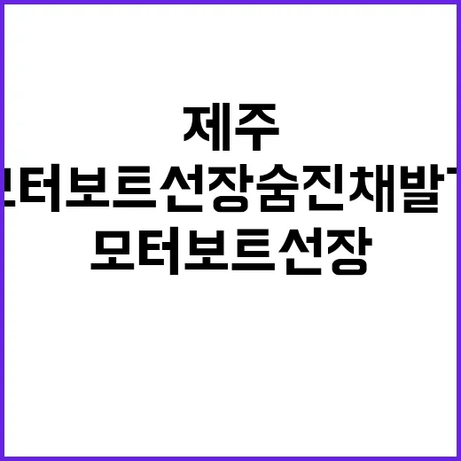 제주 모터보트 선장…