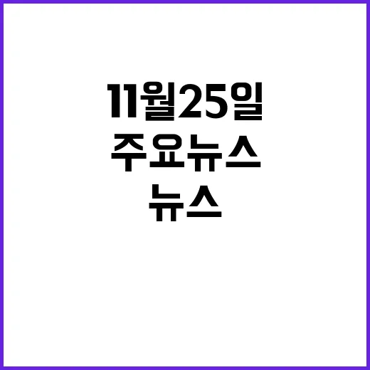 11월 25일 당신…