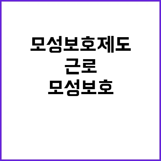 모성보호 제도 고용…