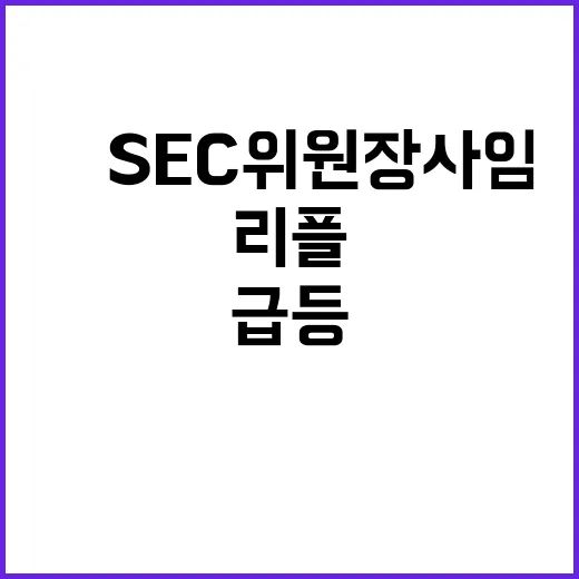 리플 급등美 SEC 위원장 사임 소식 전해져!