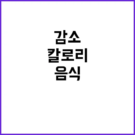 칼로리 표시 결과 …