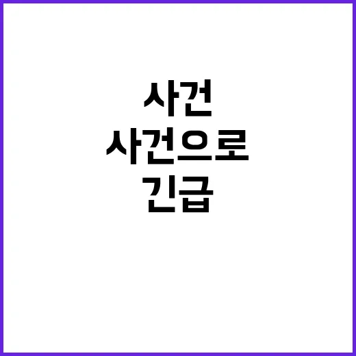 의사 연인 상해 사…