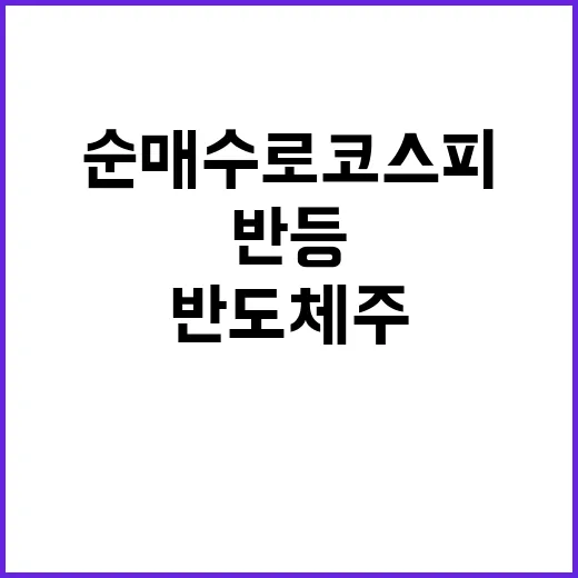 반도체주 반등 외인…