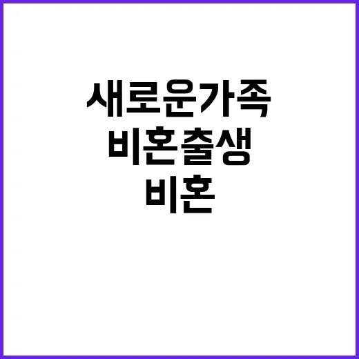 비혼 출생 새로운 …