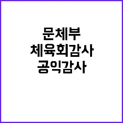 체육회 감사 문체부의 공익감사 요청과 연관?