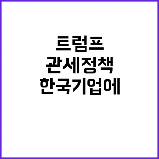 트럼프 관세정책 한국 기업에 미치는 영향 조사 중!