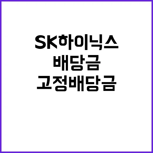 고정배당금 SK하이닉스 주주 성원에 감사하며 인상!