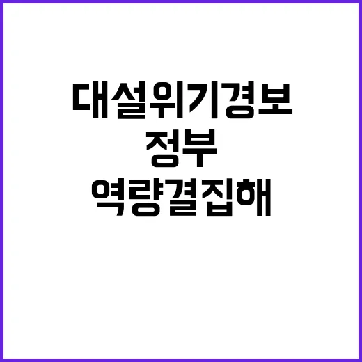 대설 위기경보 정부…