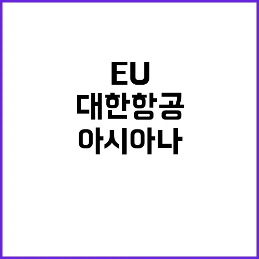 대한항공아시아나 E…