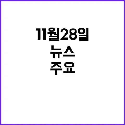 뉴스현장 11월 2…