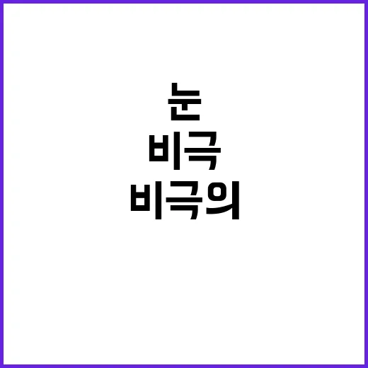 무거운 눈 최소 5…