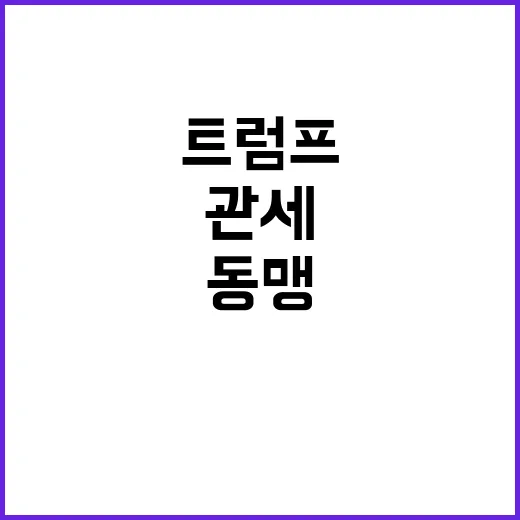 관세 재고 바이든의…