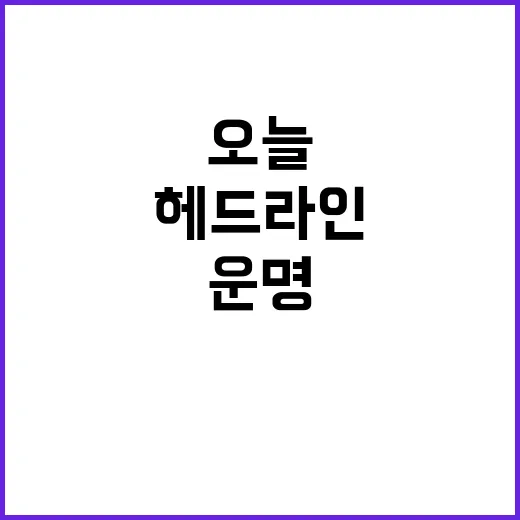 헤드라인 오늘 밤 …