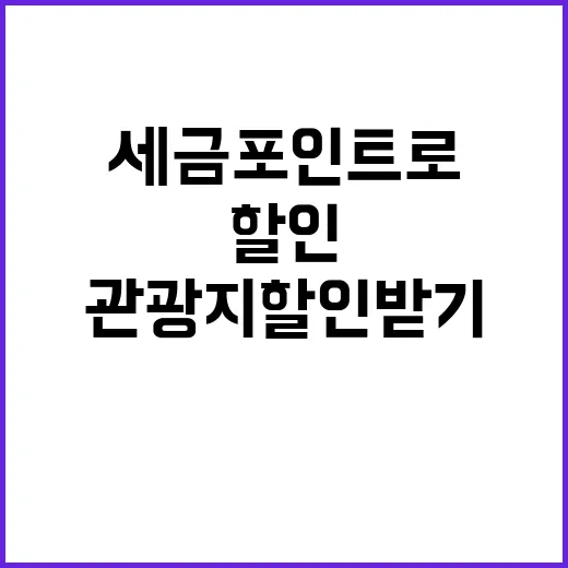 세금포인트로 관광지…