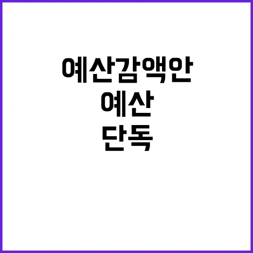 예산 감액안 여당 …