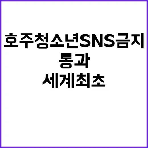 호주 청소년 SNS…