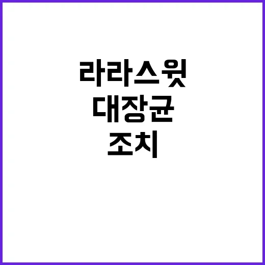 라라스윗 대장균 발…