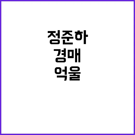 정준하 경매 사건……